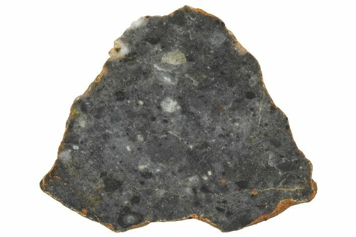 Lunar Meteorite ( g) Slice - Bechar #360554